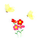 fleurspapillons