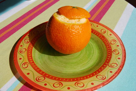 orange_givr_e