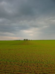 A16