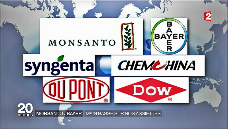 la-mega-fusion-bayer-monsanto-in