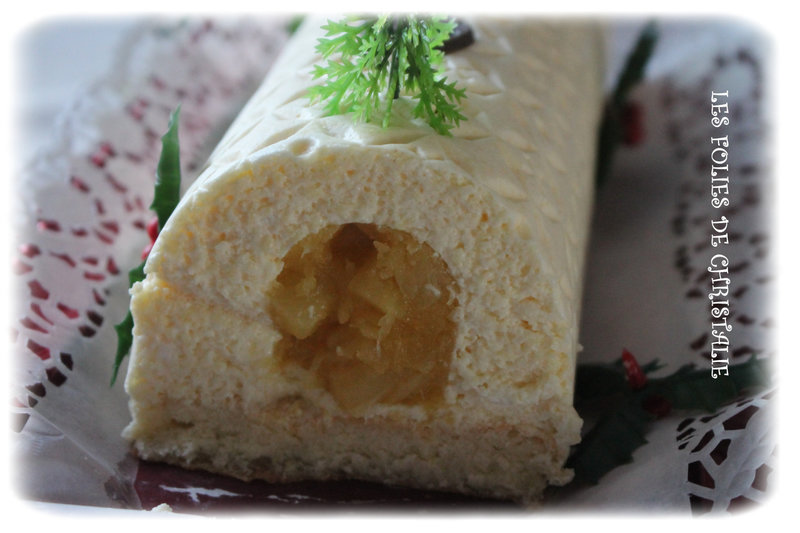 Bûche exotique b 5