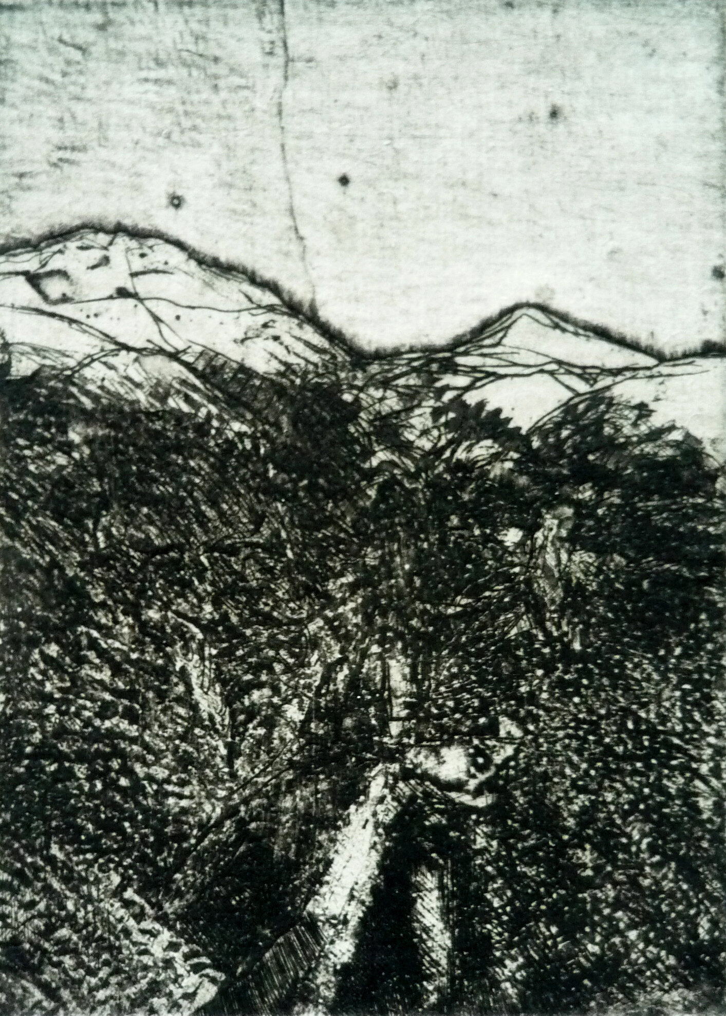 P1050984