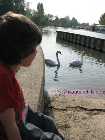 rencontre12