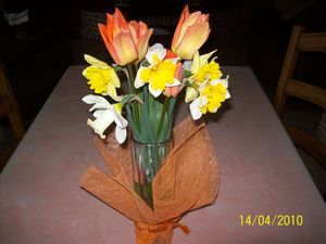 tulipes_vase