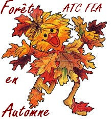 logo echange ATC FEA