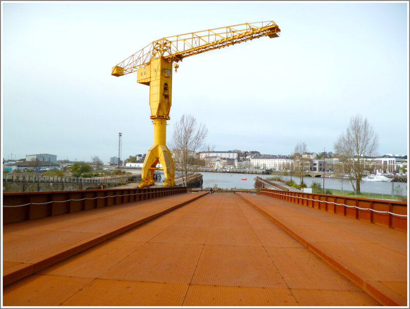 grue jaune