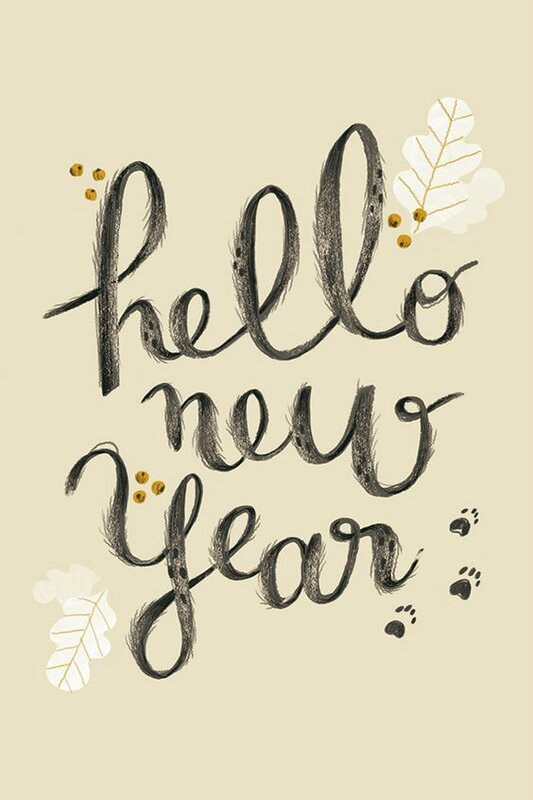 hello new year