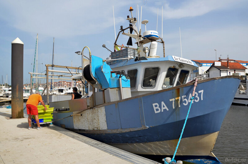 Retour au port