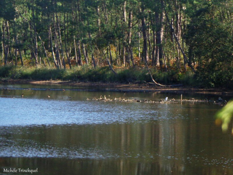 Lever de soleil et Etang du Paludot 2210161