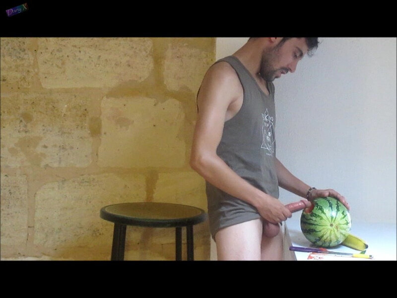 melon (95)