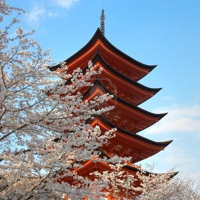5768841_classique_shinto_pagoda_avec_arbres_pleine_fleur_de_cerisier_miyakojima_japon