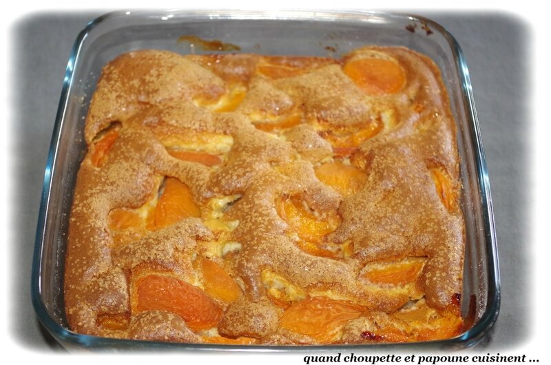 gâteau à l'abricot ww-613