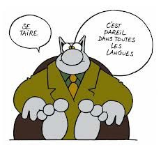 le chat 2