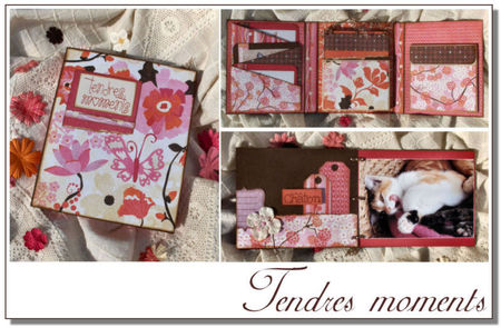 Tendres_moments01