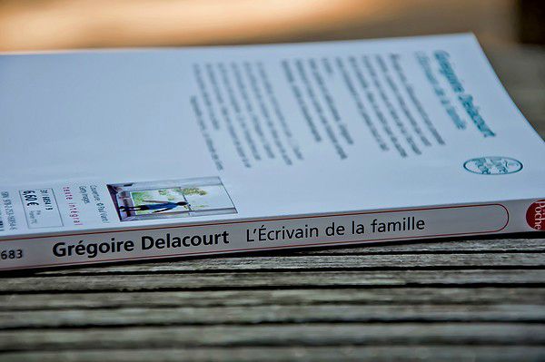 livre l'écrivain de la famille