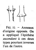 Joss fig 52