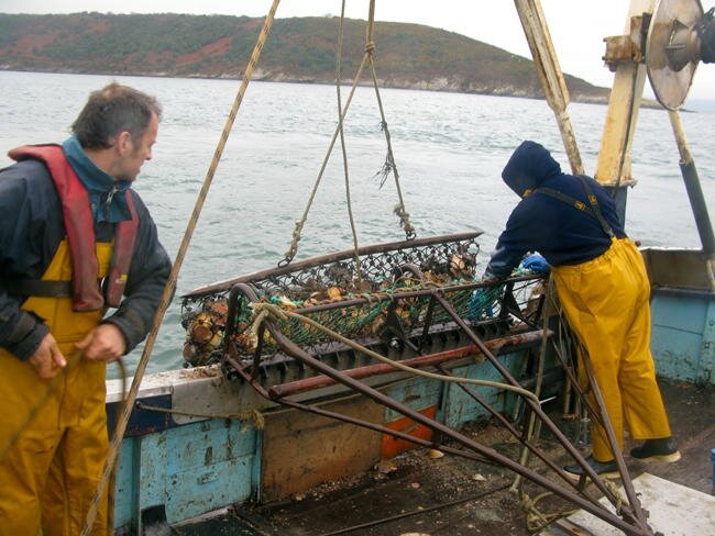 Drageur pour la pêche à la Saint Jacques