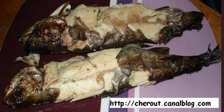 Copie_de_Img4978