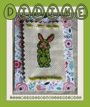 14 didine_petit bunny