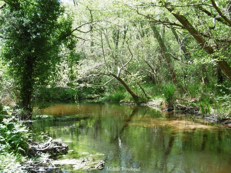 1-Du lavoir au bac désableur et retour 180417