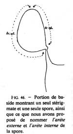 Joss Fig 46