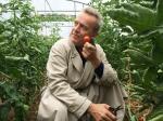 Bonjour à tous! Voici les premières tomates de mon potager de la Sarthe
