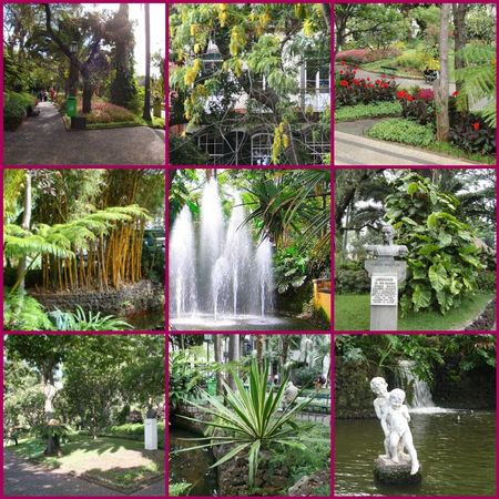 Mosaic_Jardin_Municipal_de_Funchal