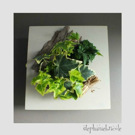 janvier cadre vegetal