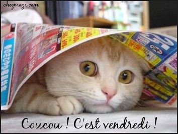 coucou_ven