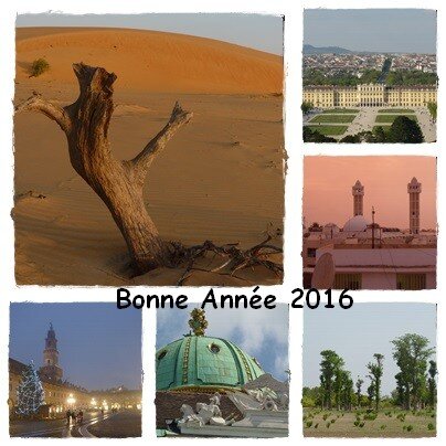 bonnesf_tes