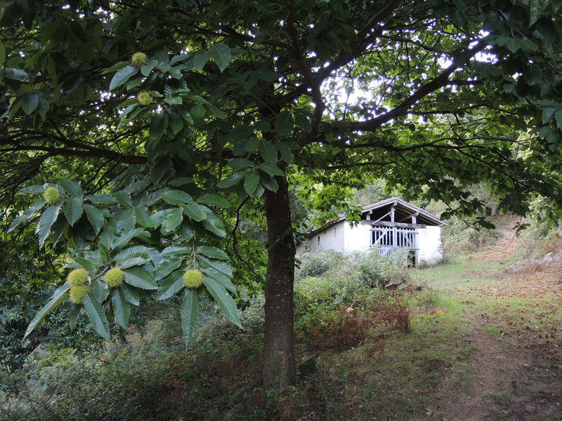 Mont Ursuya, sentier, bergerie
