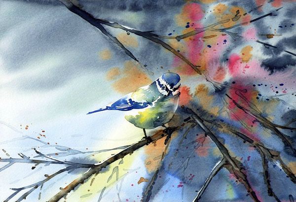 mesange_aquarelle