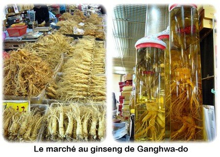 ginseng