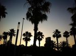 IMG_2775