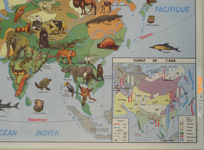 CARTE-L'ASIE-végétation-faune-4-muluBrok-Vintage