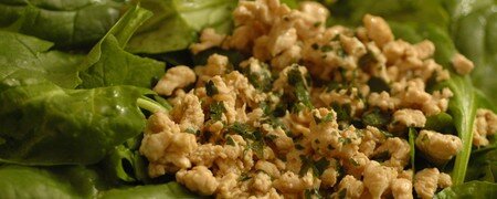 DSC_8645_Poulet_lait_de_coco_Epinards_Vinaigrette_acidul_e