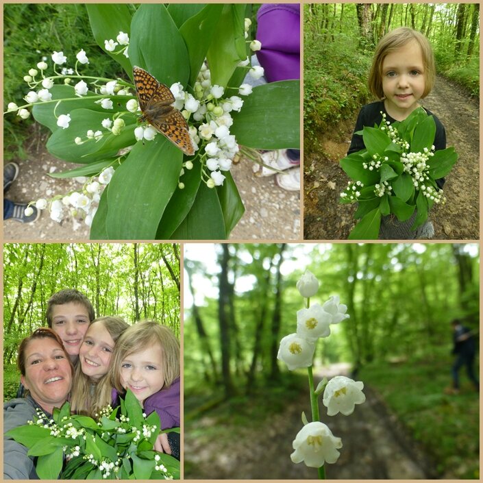 muguet