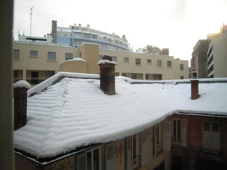 neige_sur_Grenoble_10_janvier_2010_004