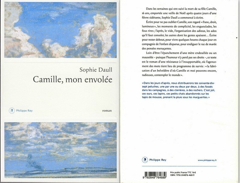 Sophie Daull - Camille, mon envolée