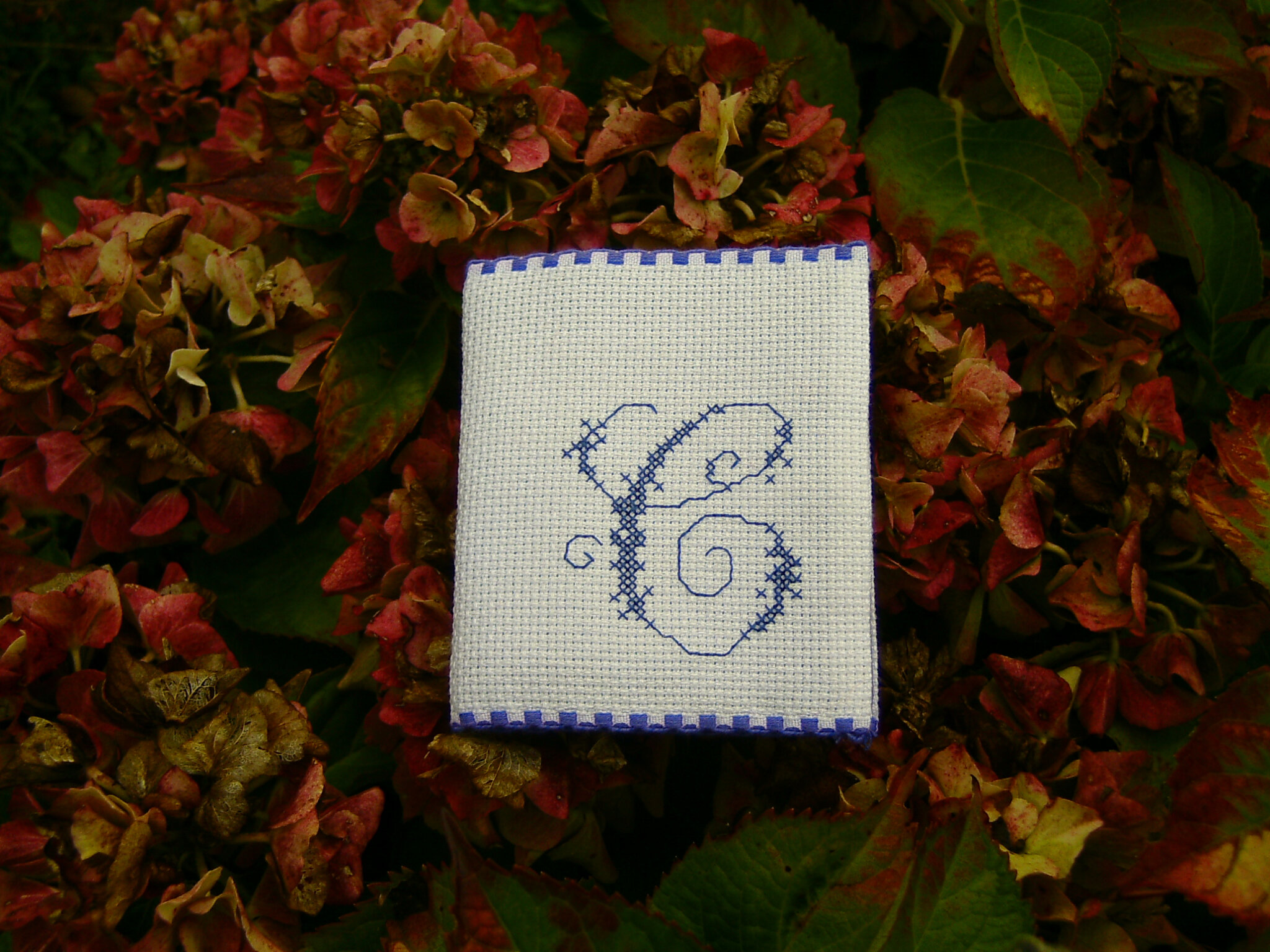 recto pochette aiguille