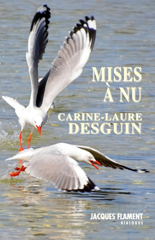 Mises à nu, cover (1)