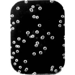 ProoftagID2
