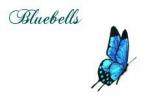 Signature blog bluebells