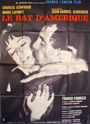 Rat_20d_Amerique_20_le__20_A_