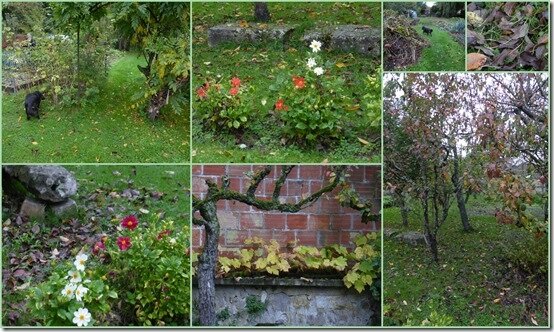 jardin 27 octobre 20193