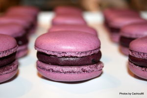MACARONS_MYRTILLES__48_