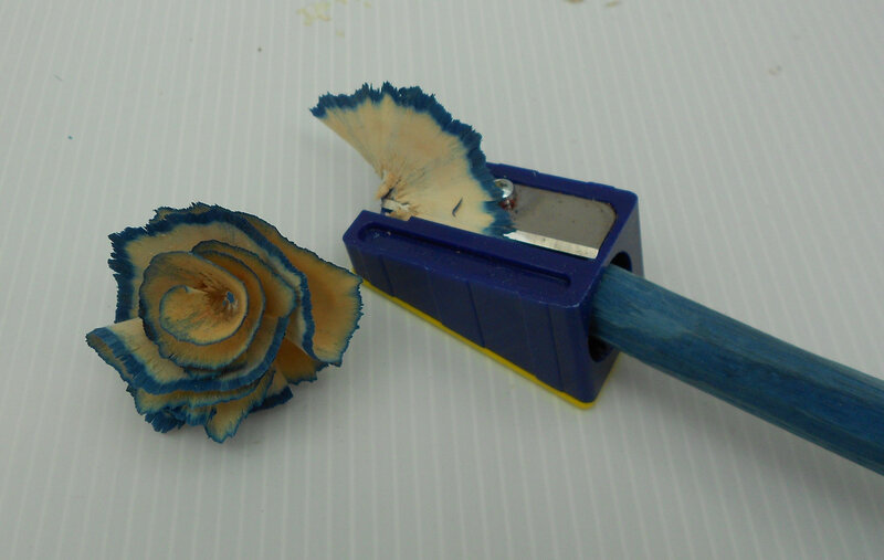 Sc fleur fev 2020 2
