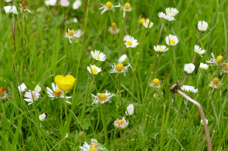 panasonic_lumix_dmc_fz1000_01