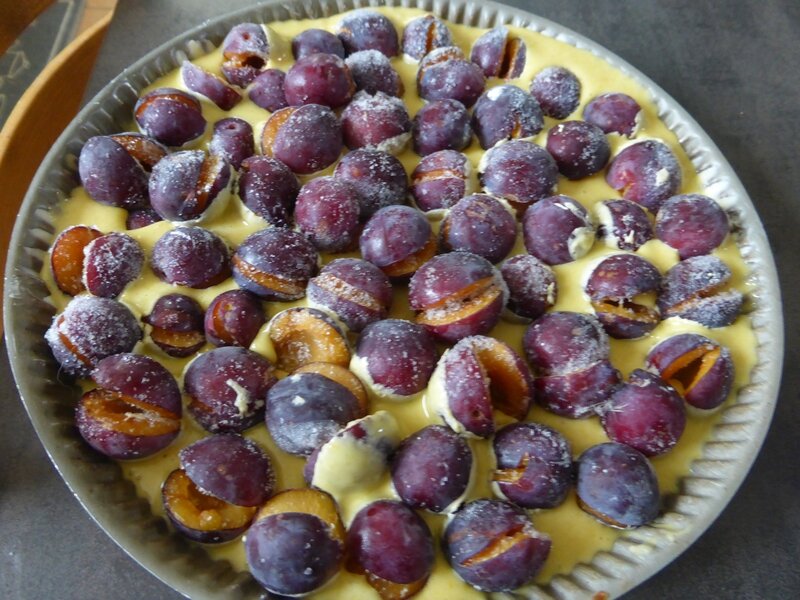 12-tarte aux prunes (2)