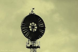 IMG_0209 b